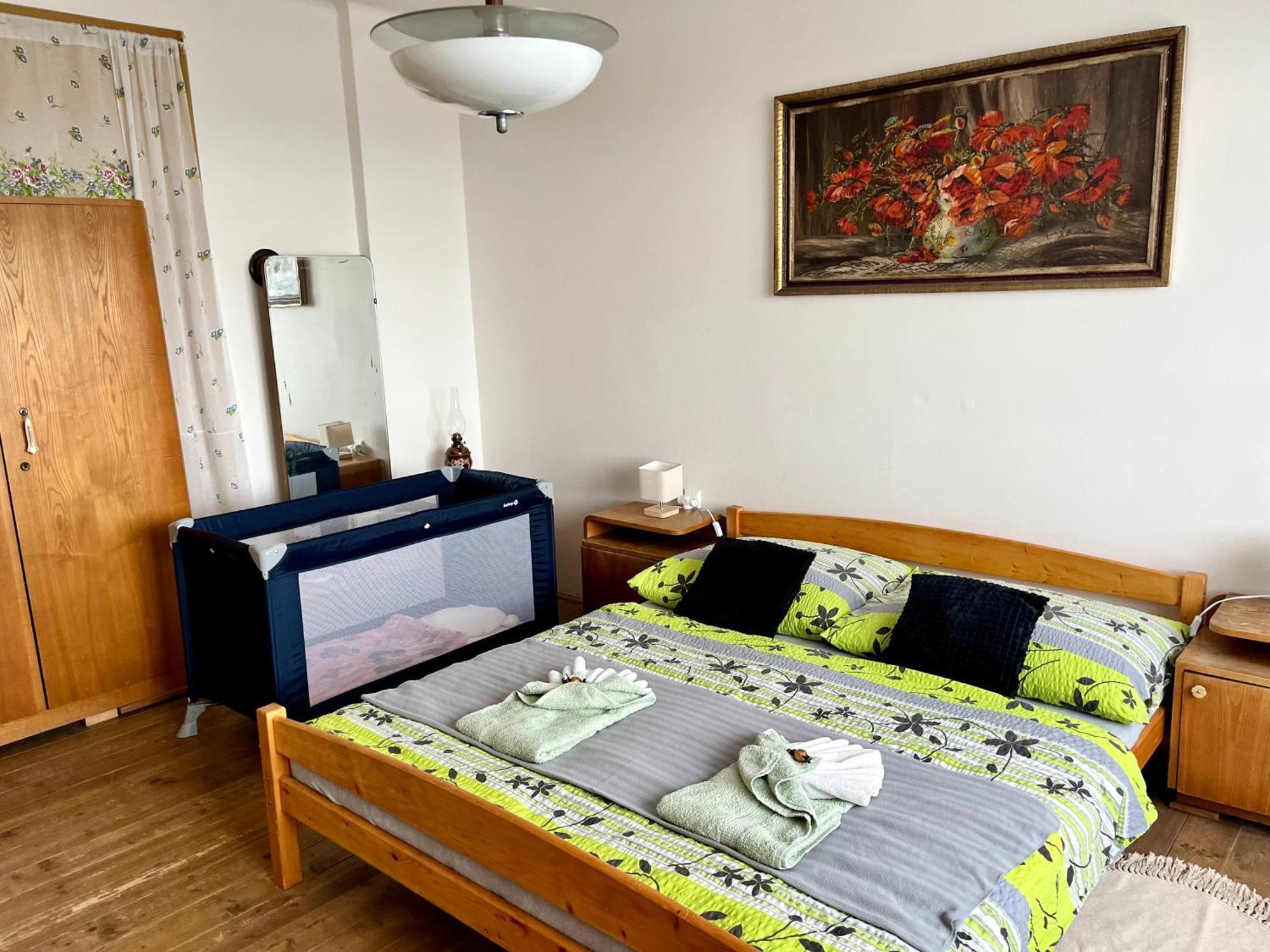 Appartamento Slunny Byt S Krasnym Vyhledem Nové Město nad Metují Esterno foto